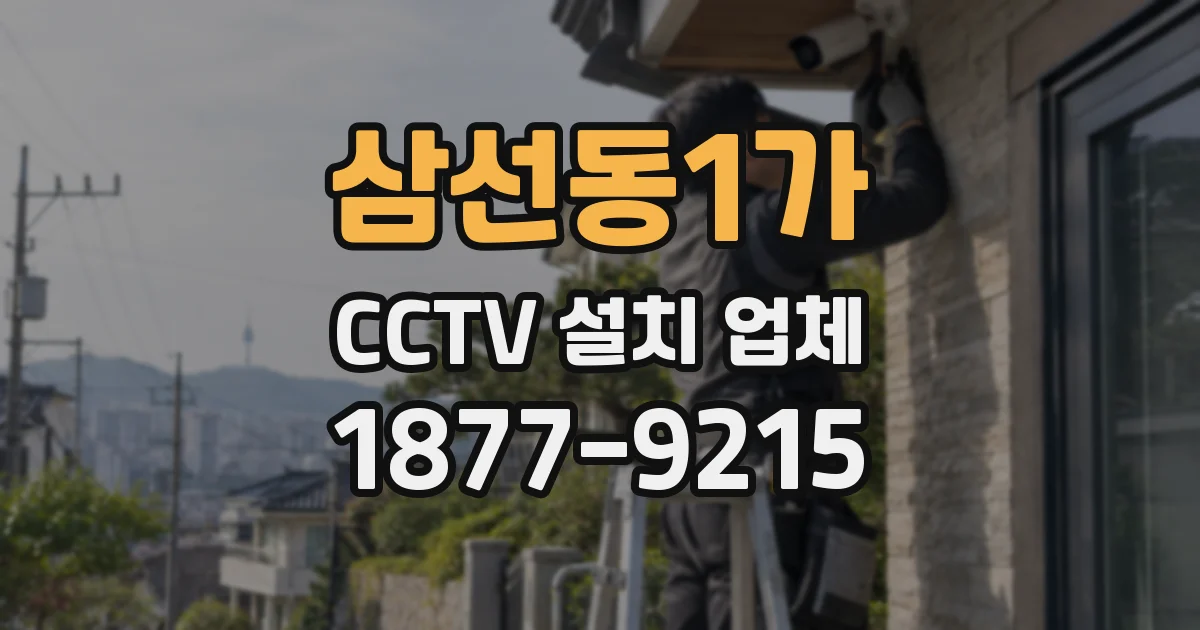 삼선동1가 CCTV 설치 업체