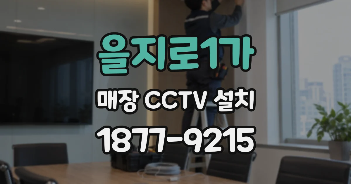 을지로1가 매장 CCTV 설치
