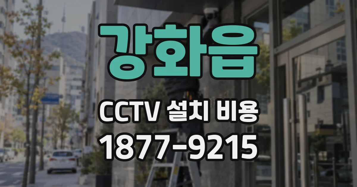 강화읍 CCTV 설치 비용