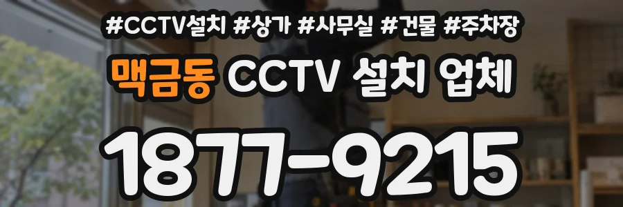 맥금동 CCTV 설치 업체