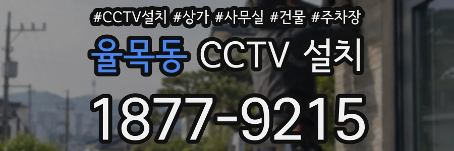 율목동 CCTV 설치