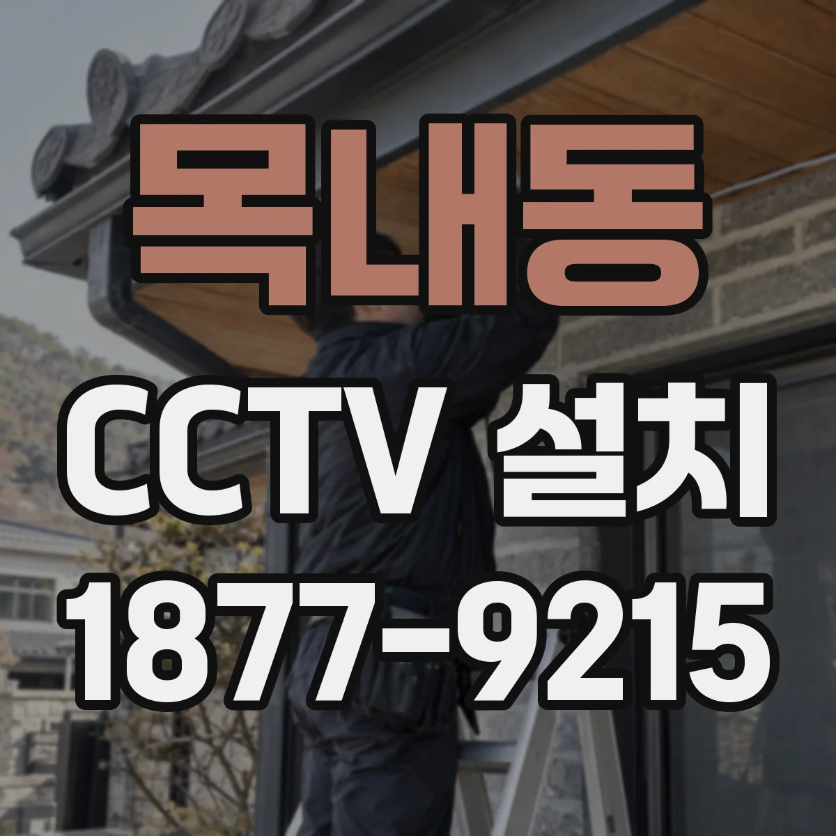 목내동 CCTV 설치