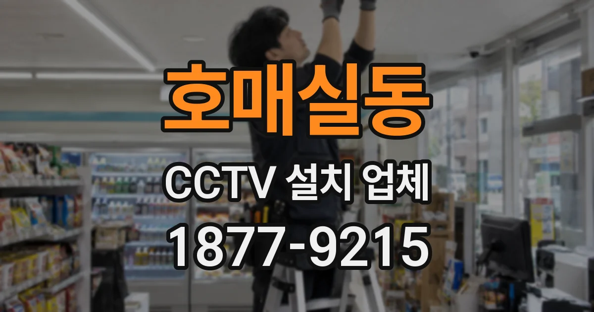 호매실동 CCTV 설치 업체