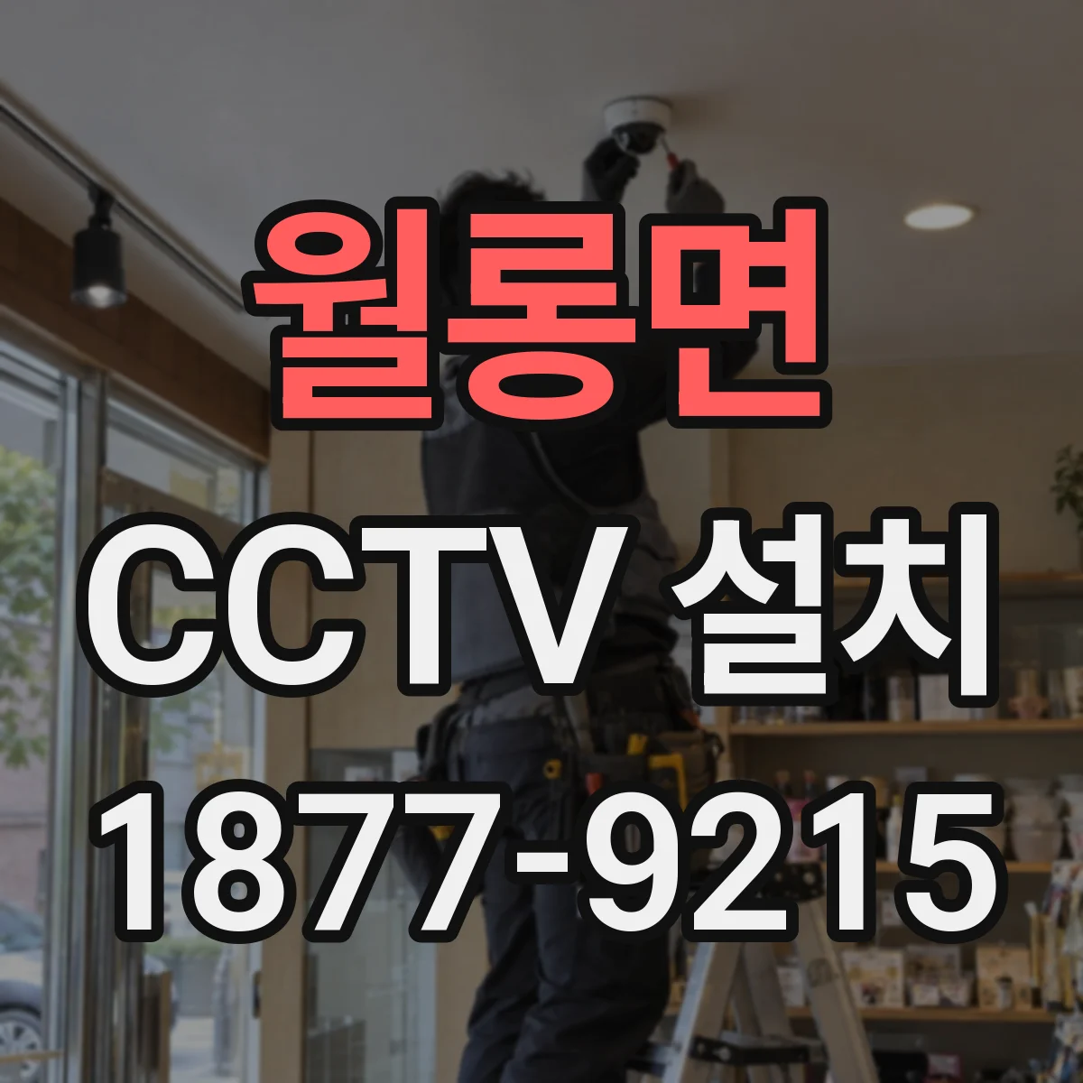 월롱면 CCTV 설치