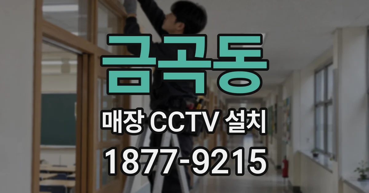금곡동 매장 CCTV 설치