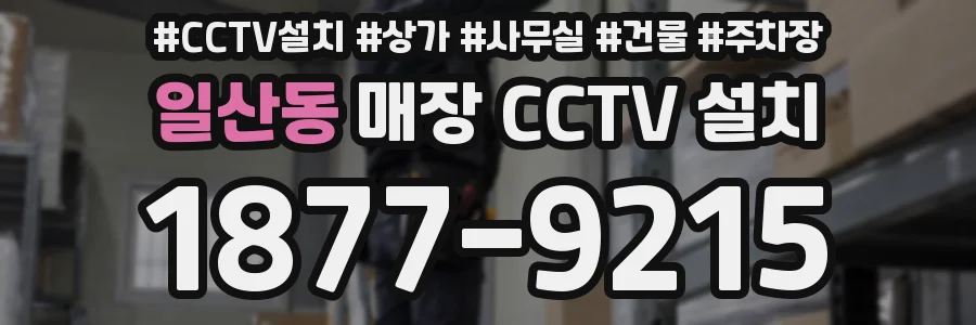 일산동 매장 CCTV 설치