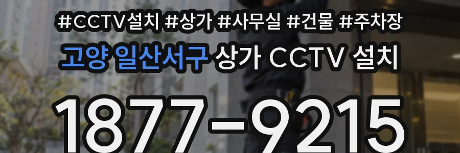 고양 일산서구 상가 CCTV 설치