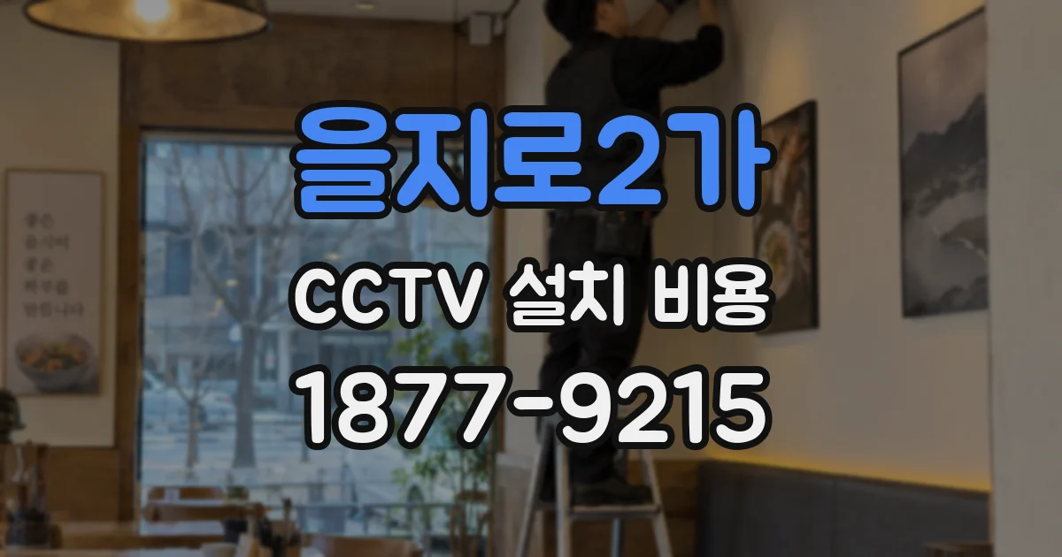 을지로2가 CCTV 설치 비용