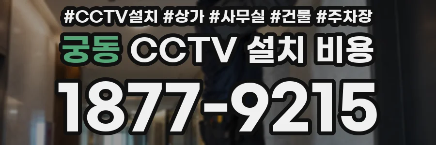 궁동 CCTV 설치 비용