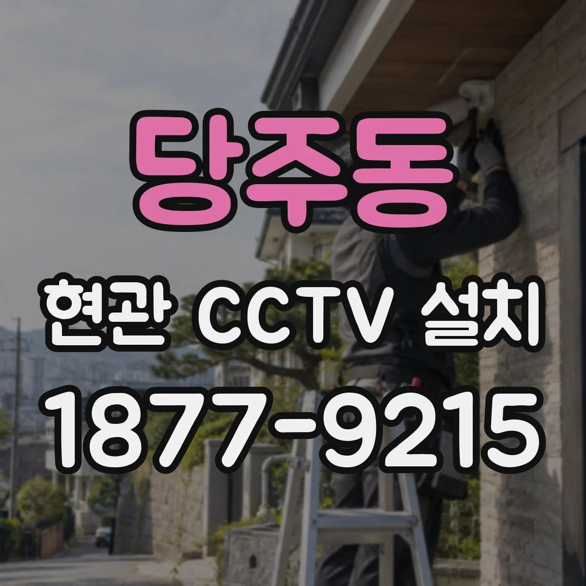 당주동 현관 CCTV 설치