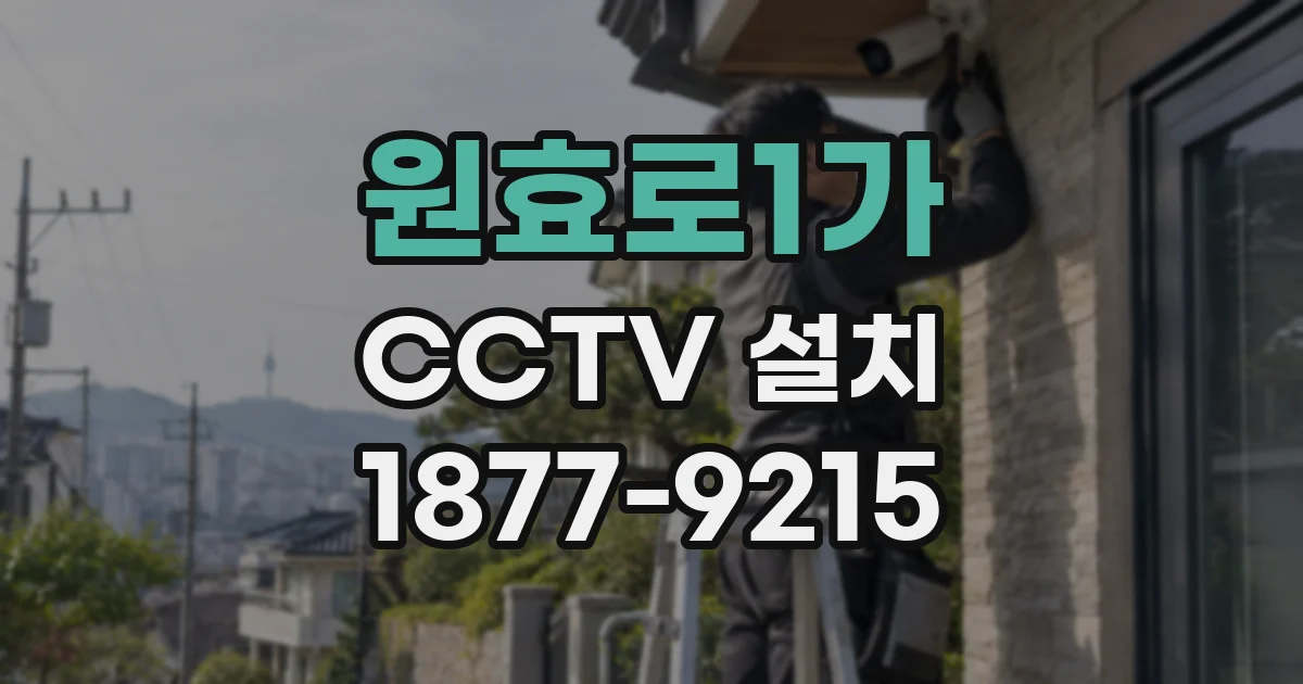 원효로1가 CCTV 설치