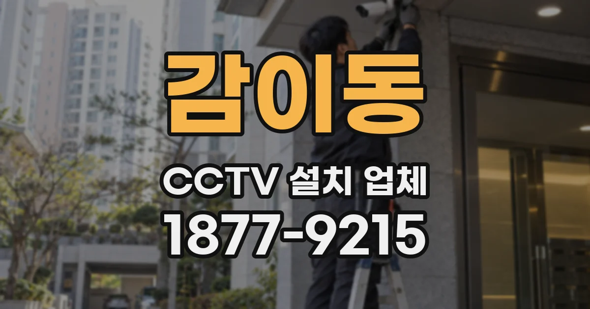 감이동 CCTV 설치 업체