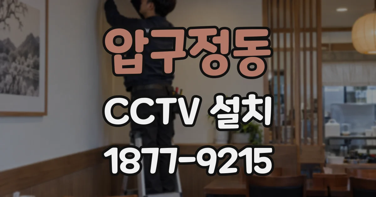압구정동 CCTV 설치