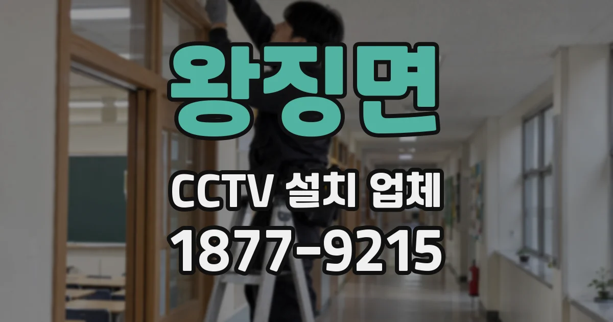 왕징면 CCTV 설치 업체