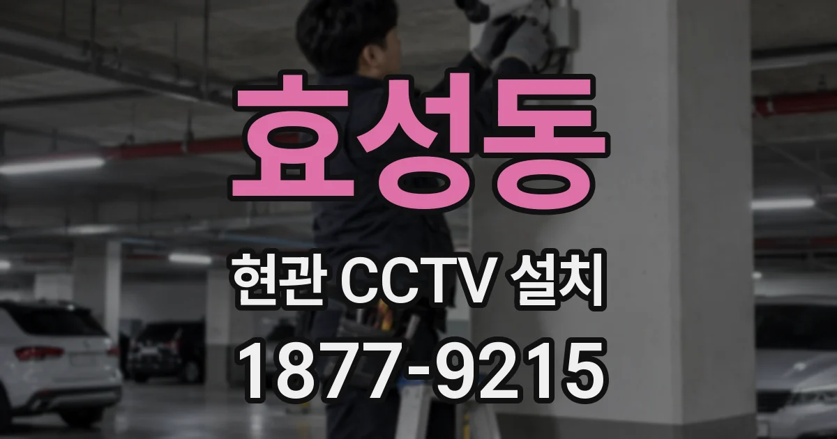 효성동 현관 CCTV 설치