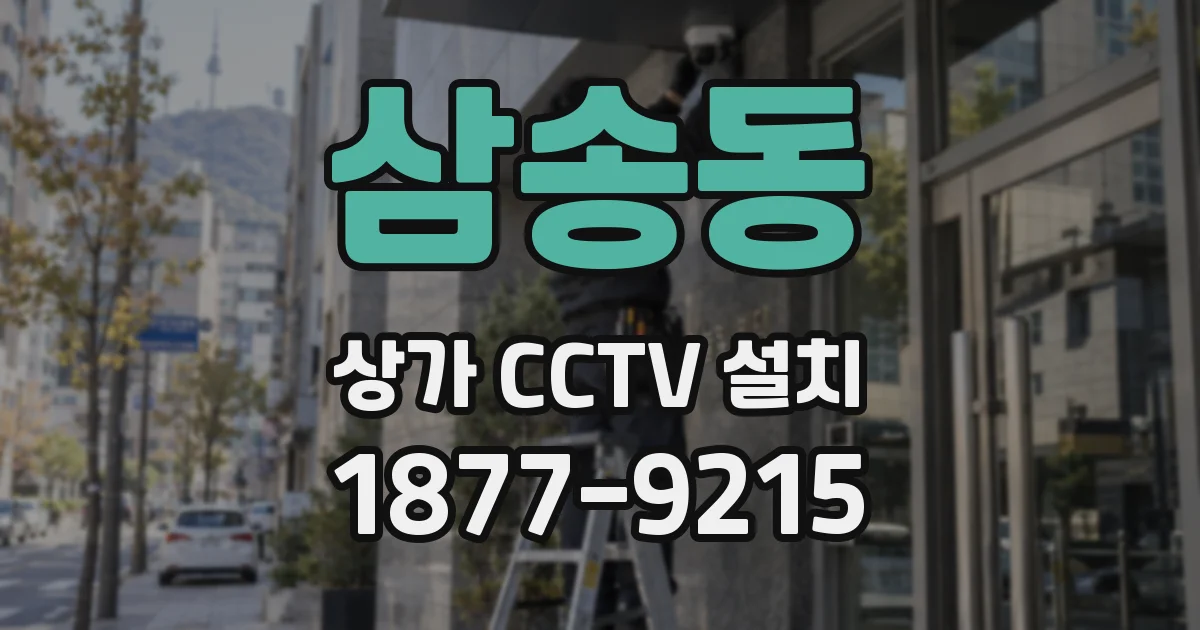 삼송동 상가 CCTV 설치
