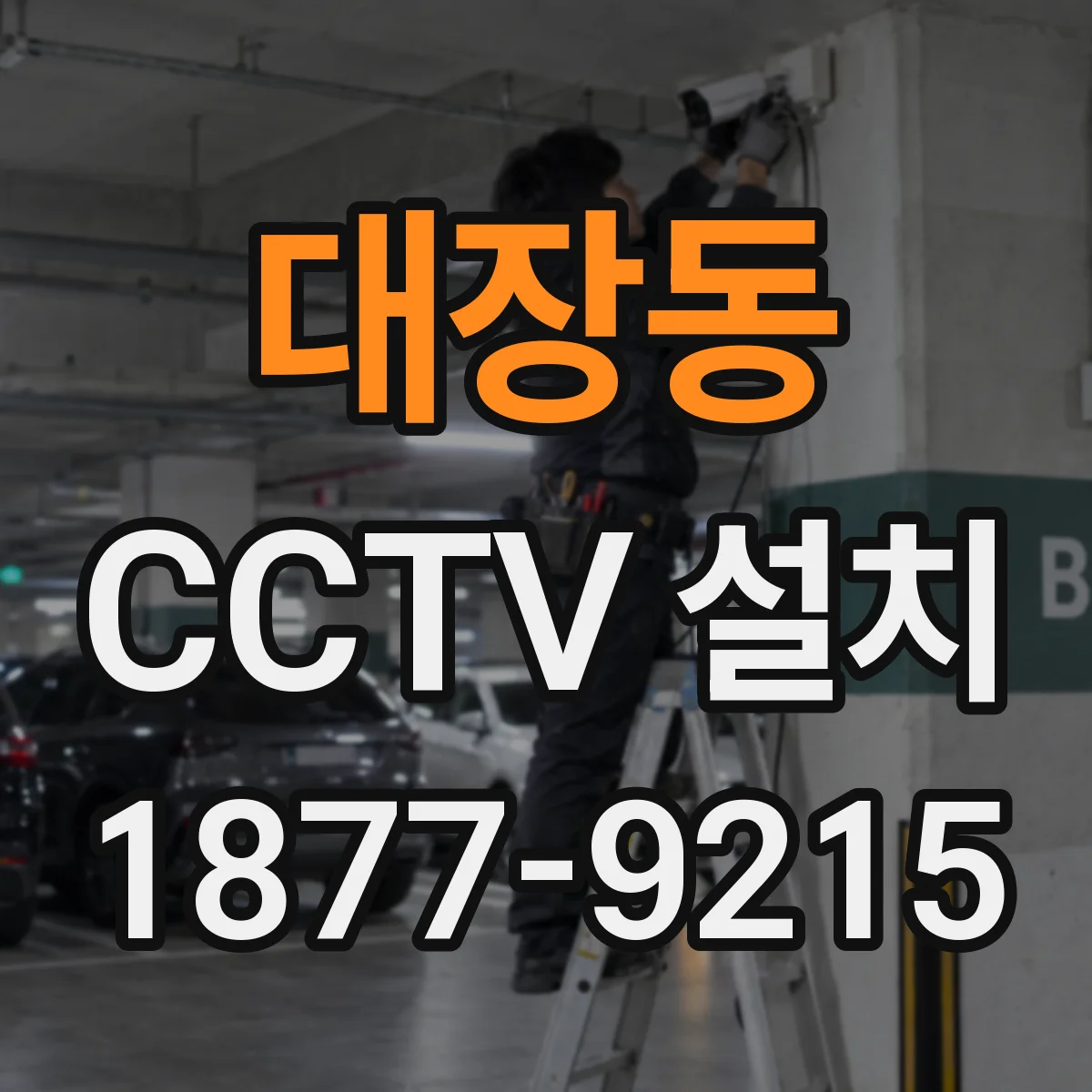 대장동 CCTV 설치