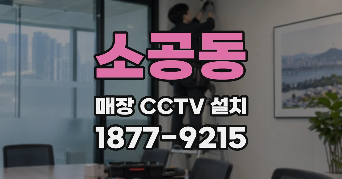 소공동 매장 CCTV 설치