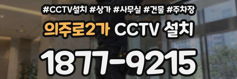 의주로2가 CCTV 설치