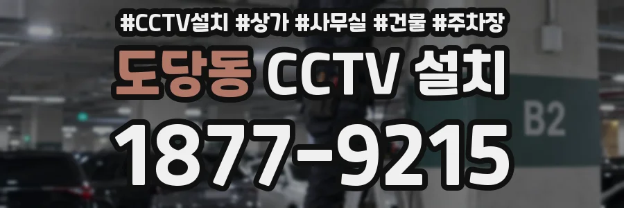 도당동 CCTV 설치