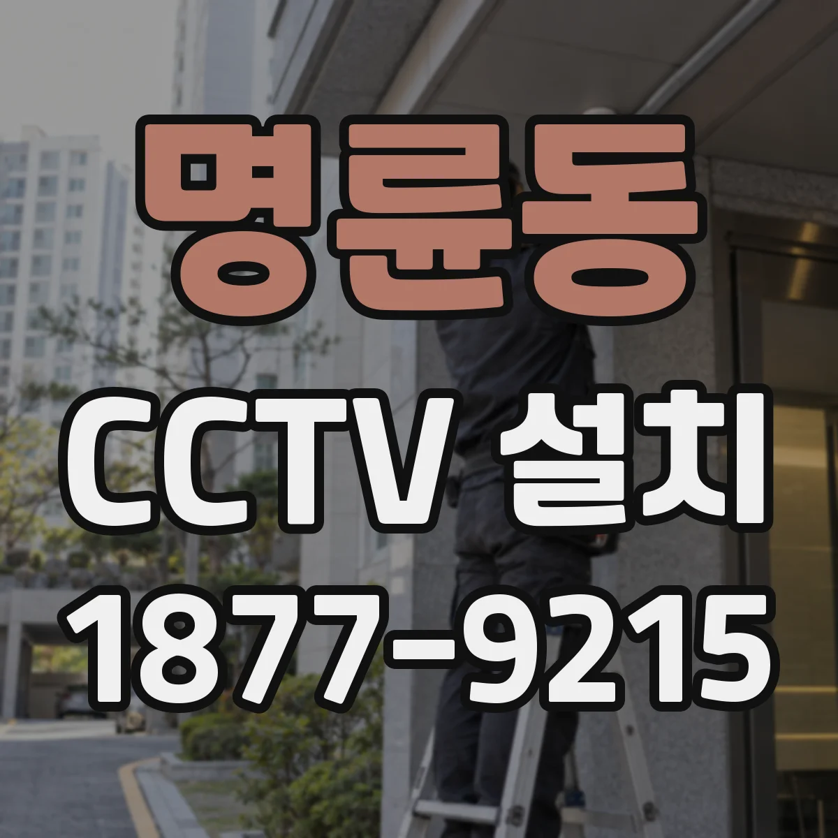 명륜동 CCTV 설치
