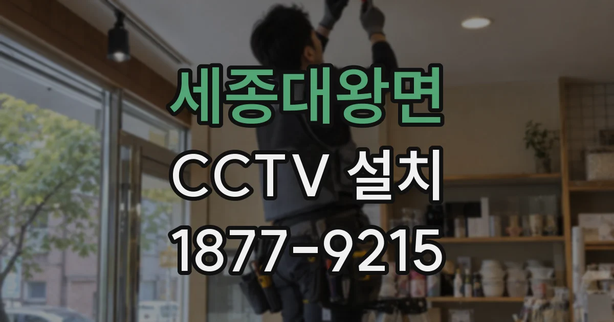 세종대왕면 CCTV 설치