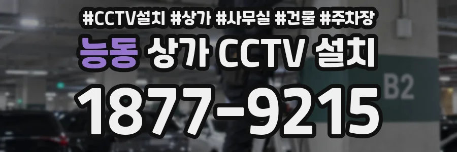 능동 상가 CCTV 설치