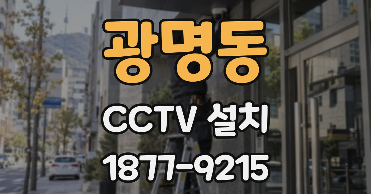 광명동 CCTV 설치