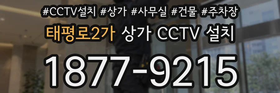 태평로2가 상가 CCTV 설치
