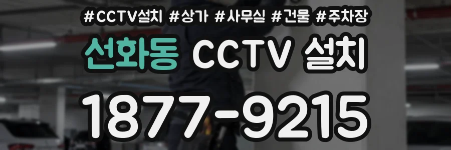 선화동 CCTV 설치
