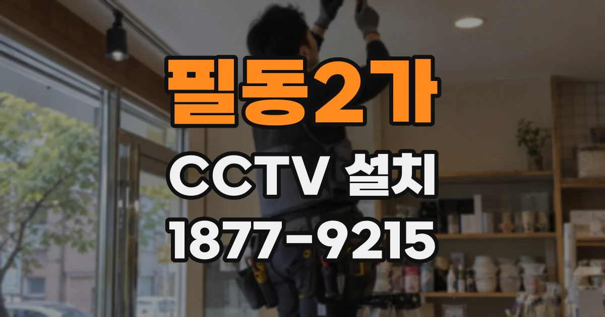 필동2가 CCTV 설치