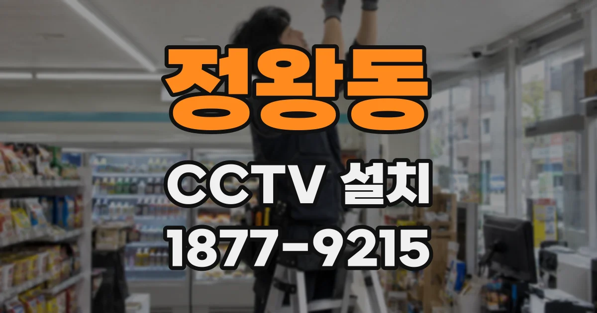 정왕동 CCTV 설치