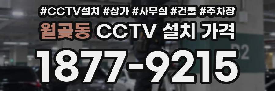 월곶동 CCTV 설치 가격