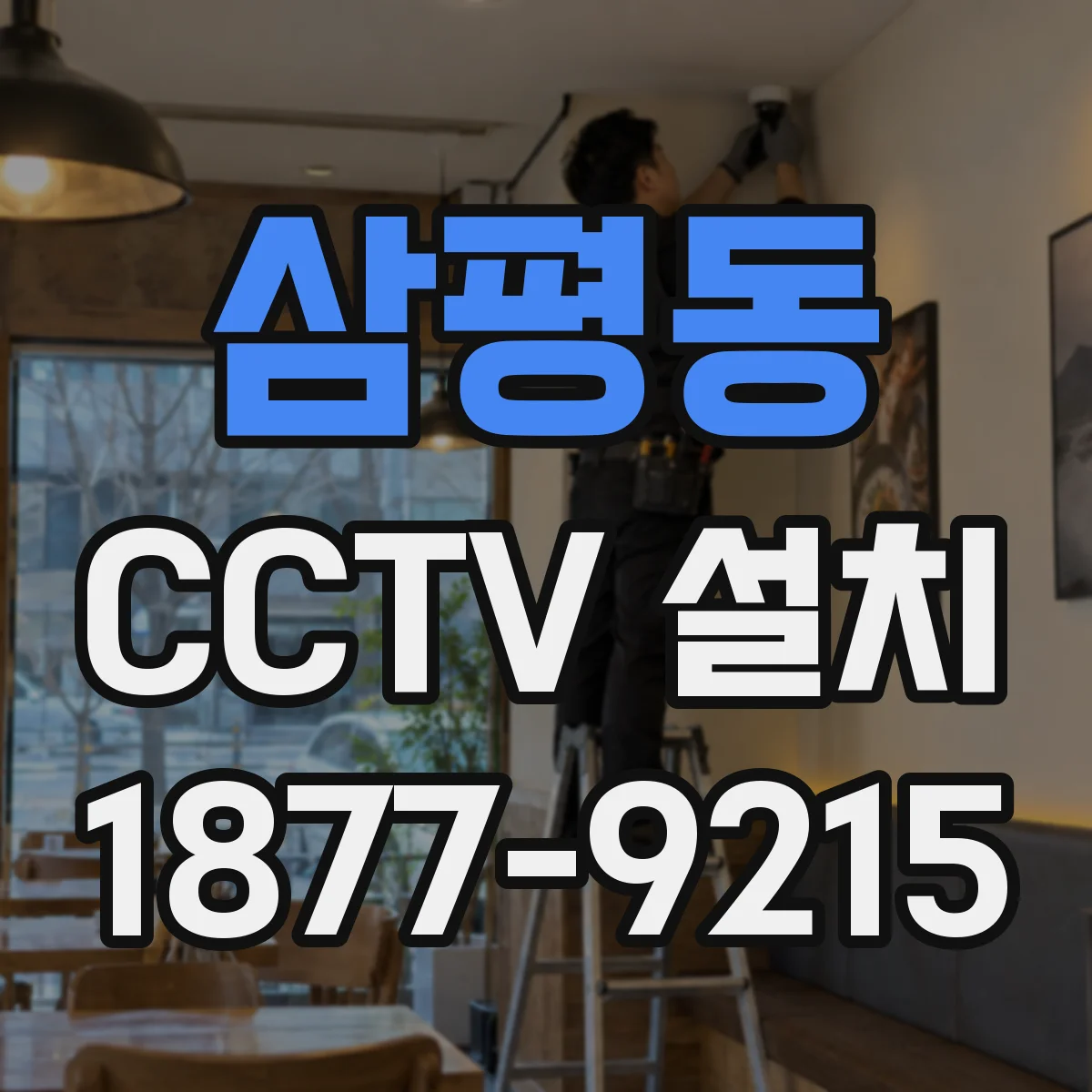 삼평동 CCTV 설치