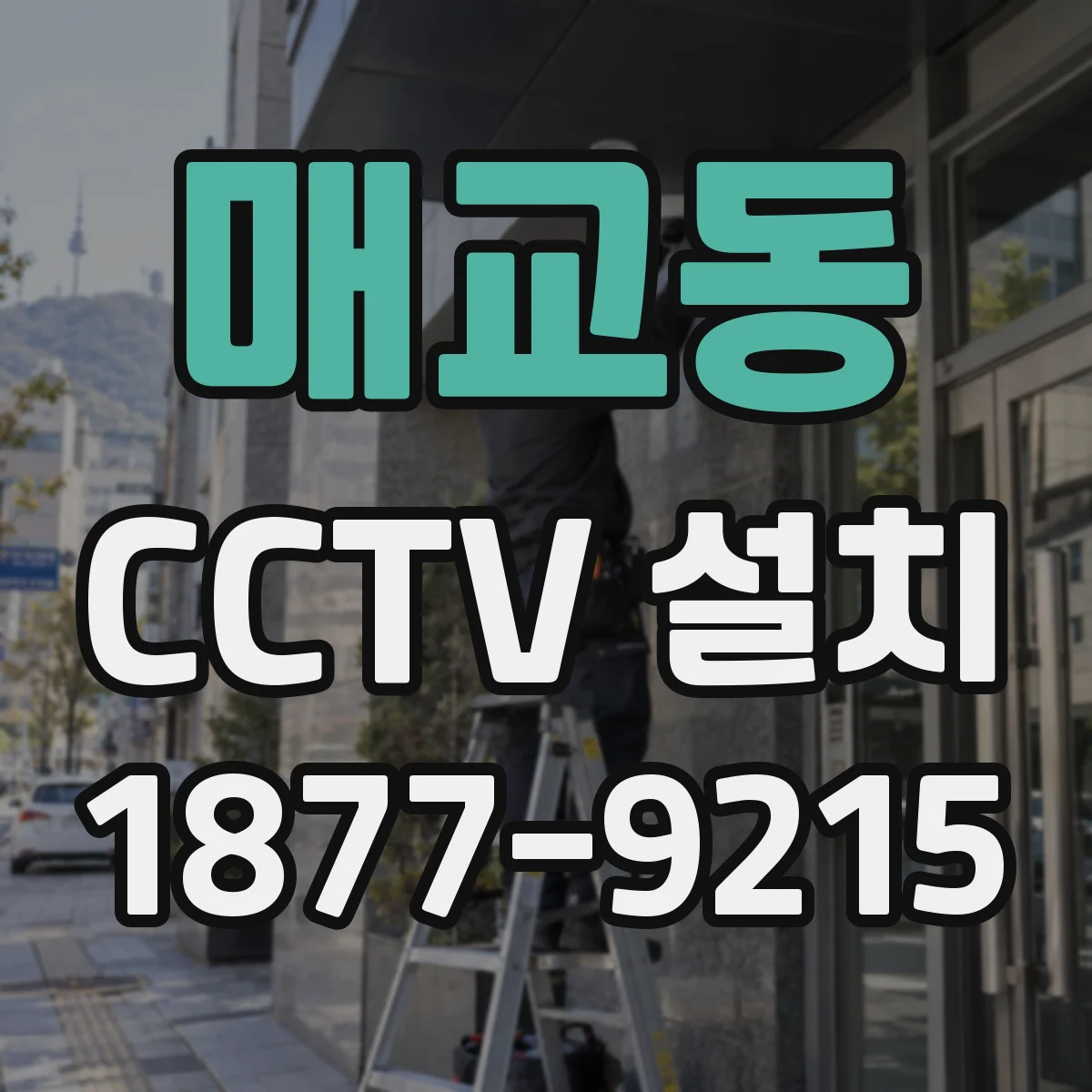 매교동 CCTV 설치