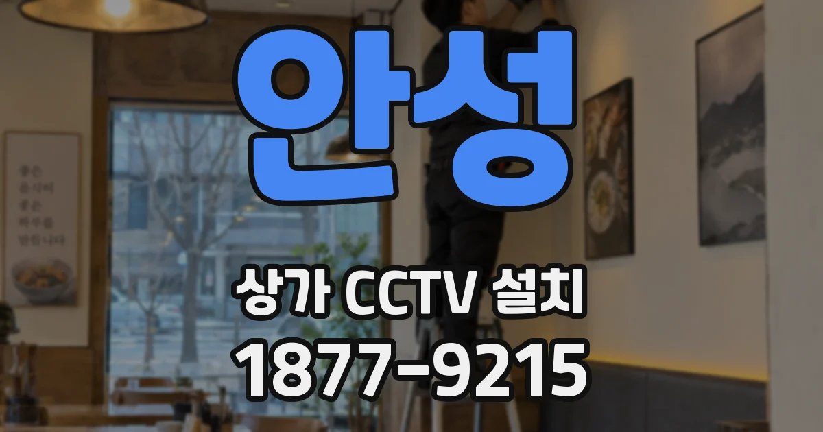 안성 상가 CCTV 설치