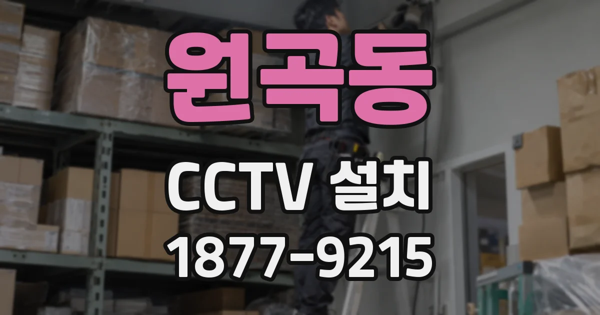 원곡동 CCTV 설치