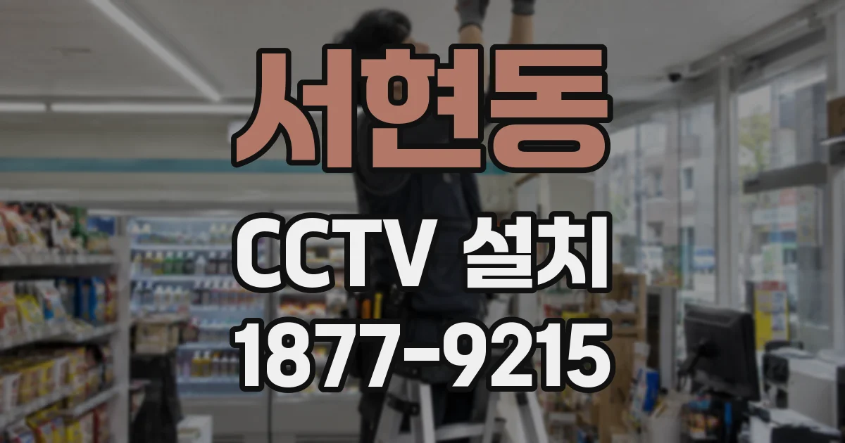 서현동 CCTV 설치