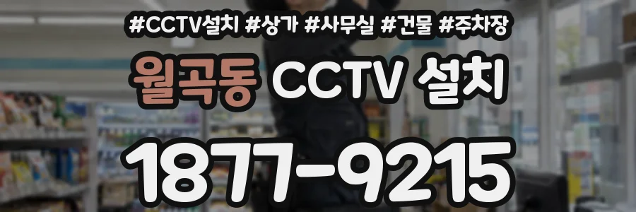월곡동 CCTV 설치