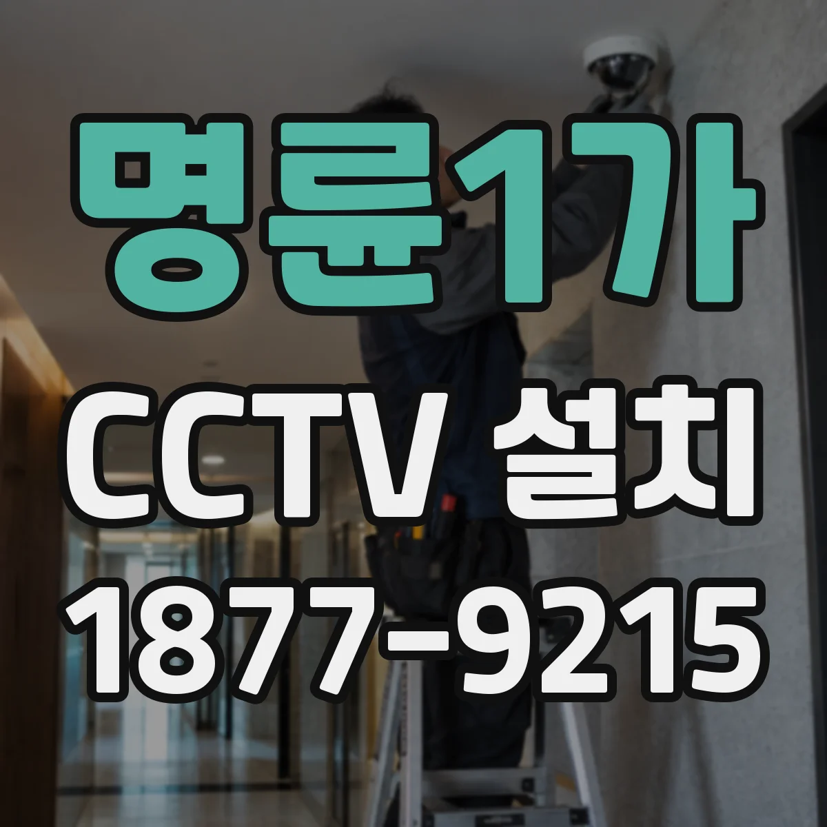 명륜1가 CCTV 설치