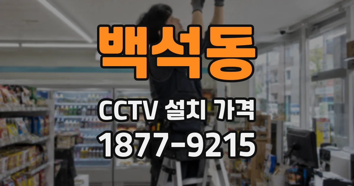 백석동 CCTV 설치 가격