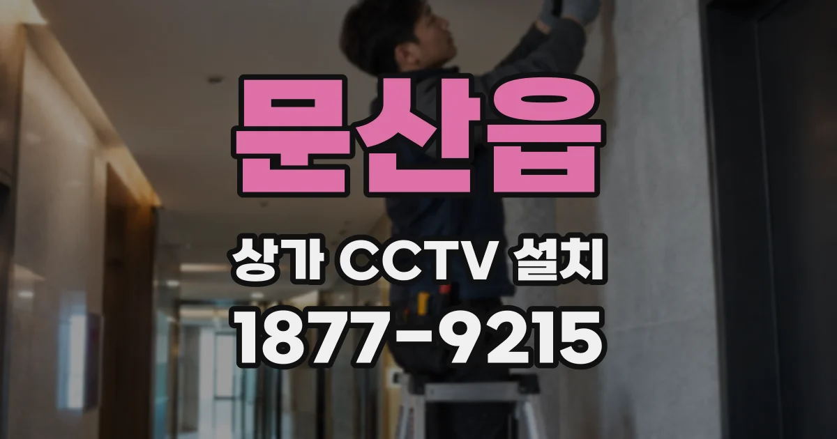 문산읍 상가 CCTV 설치