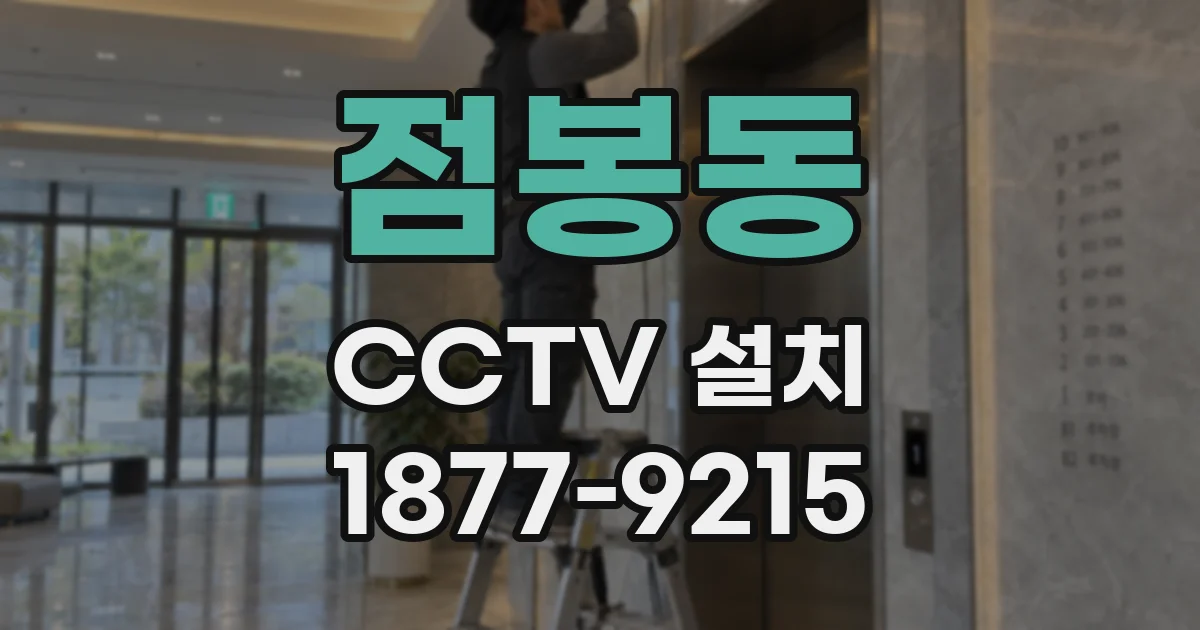 점봉동 CCTV 설치