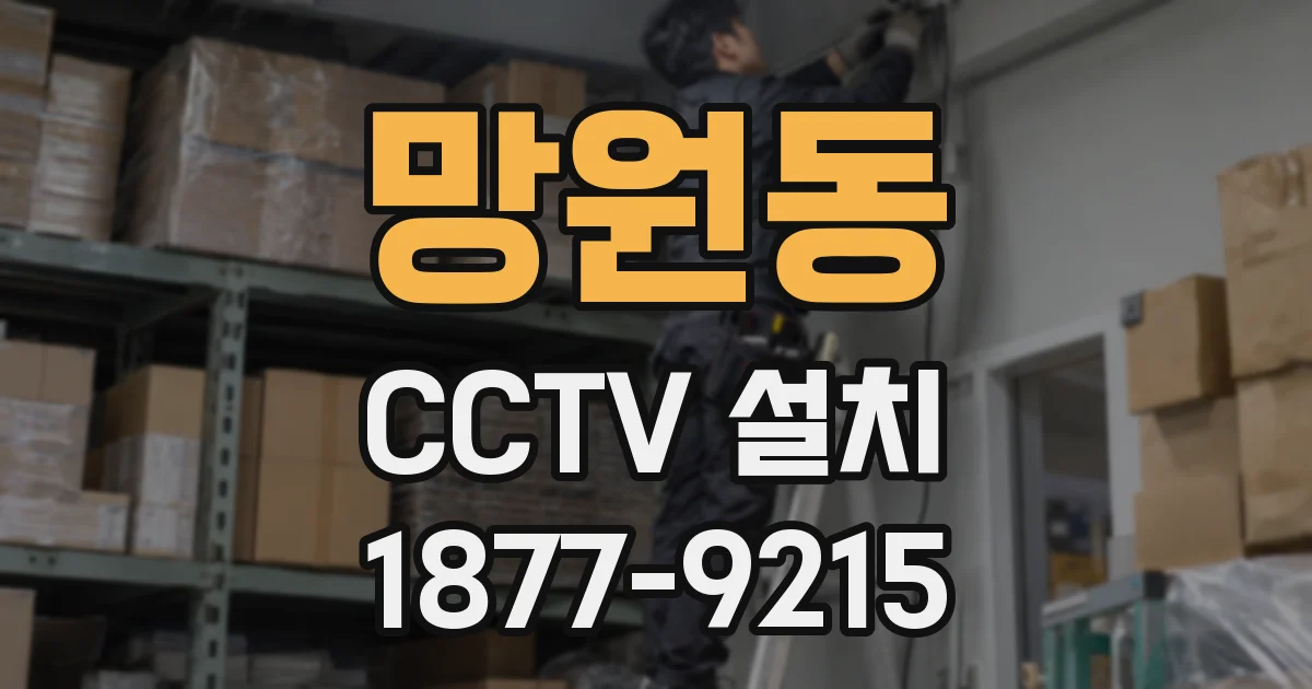 망원동 CCTV 설치