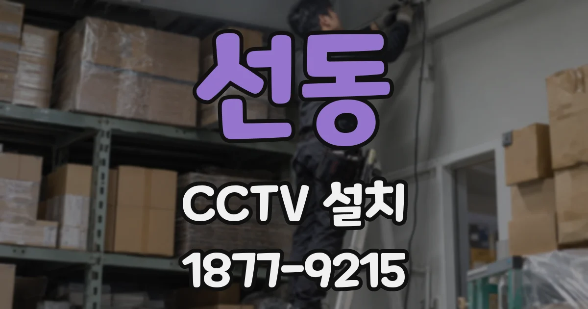 선동 CCTV 설치