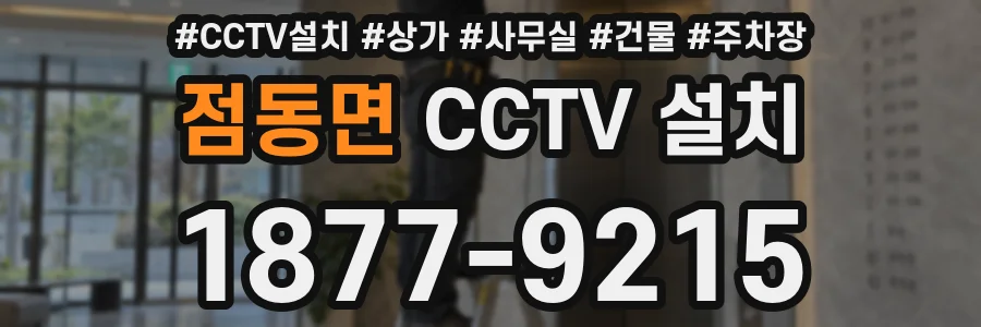 점동면 CCTV 설치