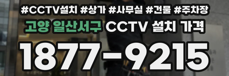 고양 일산서구 CCTV 설치 가격