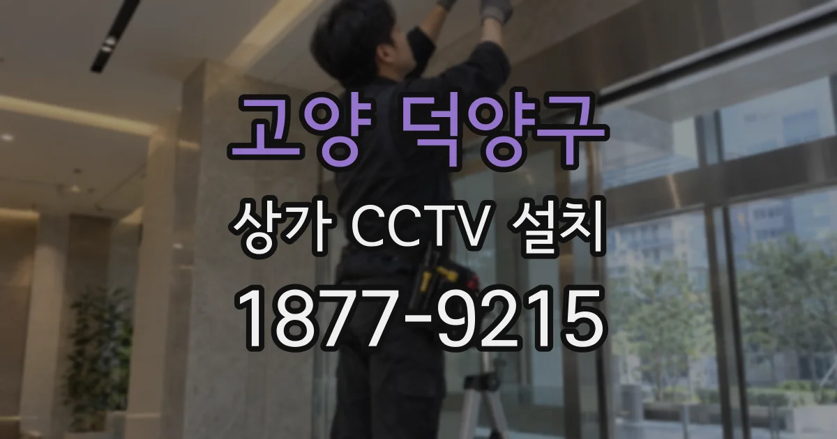 고양 덕양구 상가 CCTV 설치