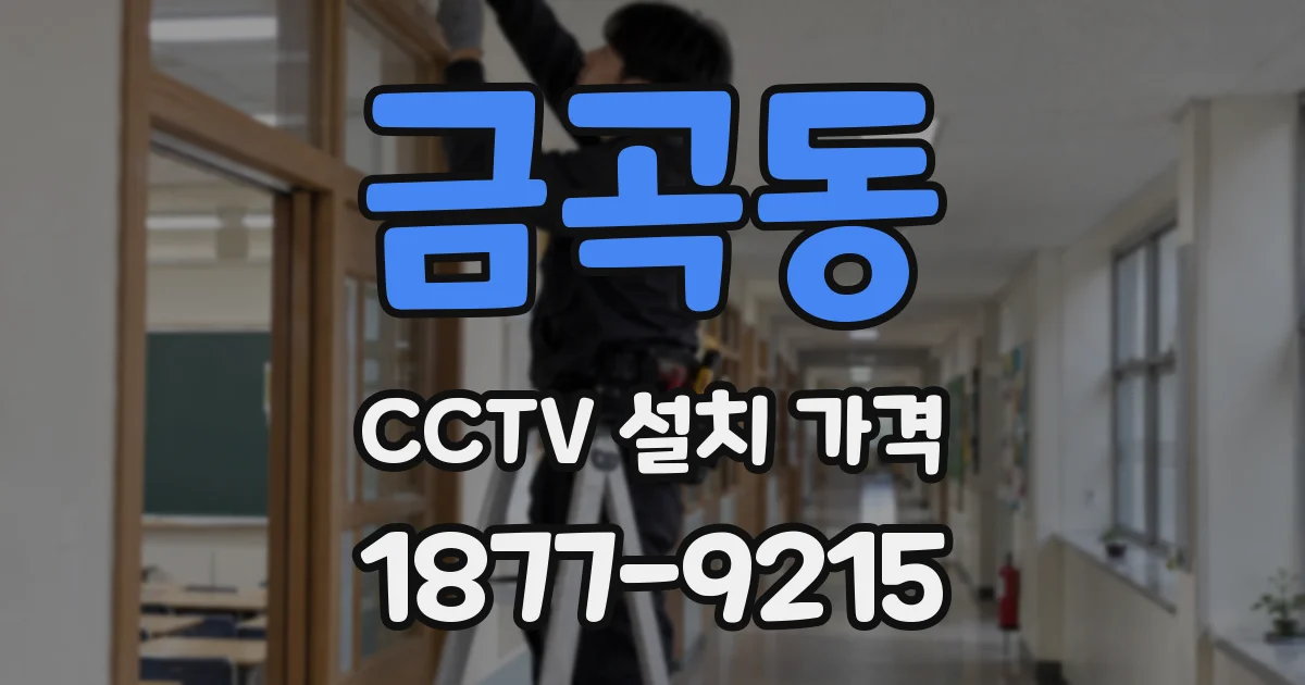 금곡동 CCTV 설치 가격