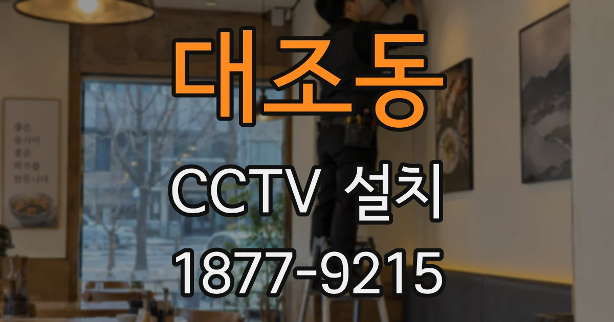 대조동 CCTV 설치